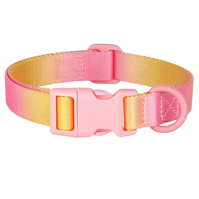 Collar de nailon para perros con estampado colorido