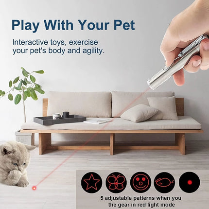 Jouet laser rechargeable par USB pour chat