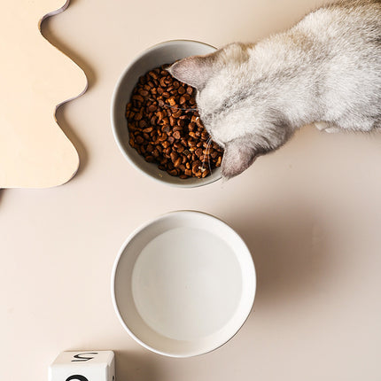 Gamelle surélevée en céramique pour chat et petit chien