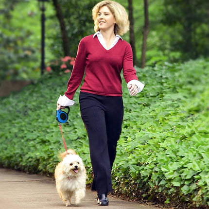 Laisse rétractable pour chien