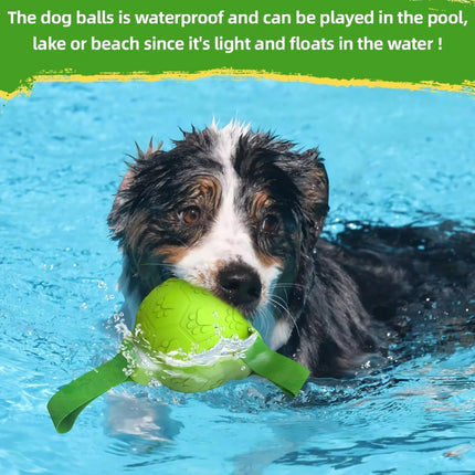 Ballon de football interactif pour chien avec sangles