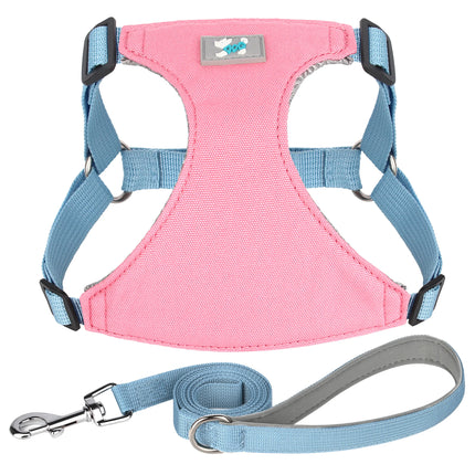 Conjunto de arnés y correa de nailon ajustable para perros de todas las razas