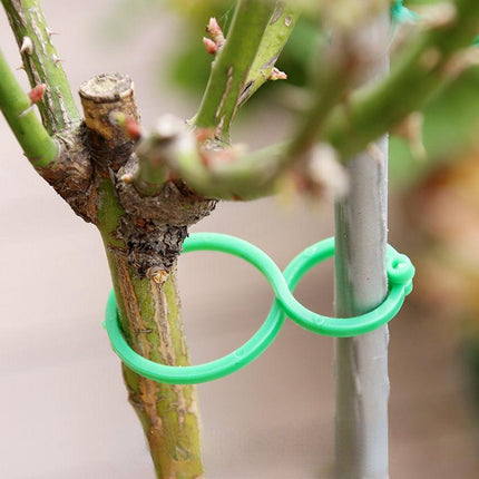 Pinces de cerclage pour vigne de jardin