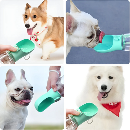 Bouteille d'eau portable pour chien avec bol de voyage