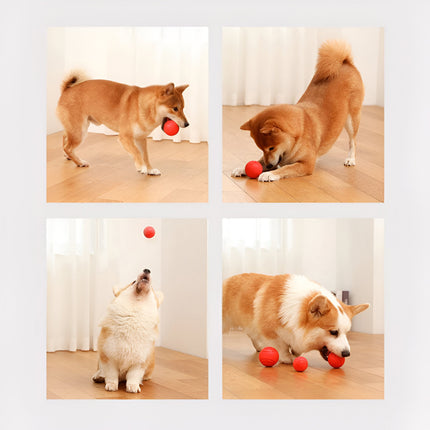 Balle d'entraînement rebondissante en caoutchouc pour chien