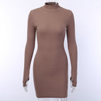 Brown dress / L