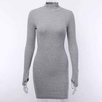 Women's Ribbed Knitted Turtleneck Mini Dress - Wnkrs