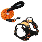 S / Orange