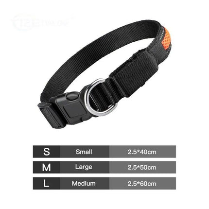 Nylon Dog Collar Flash Night Safety LED Glow Waterproof - Wnkrs