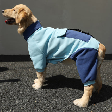 Veste sportive pour gros chien