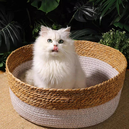 Handwoven Rattan Cat Bed - Wnkrs