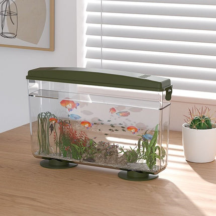 Aquarium de bureau écologique simple 