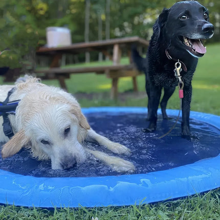 Tapis de pataugeoire et d'arrosage interactif pour chien