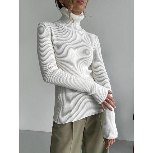 Autumn Winter Thick Turtleneck Sweater for Women