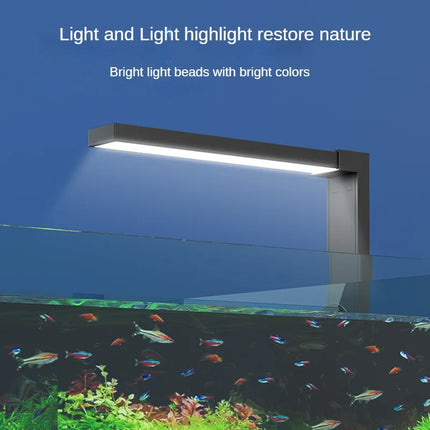 Lampe LED compacte pour aquarium