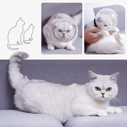 ComfortFit Transparent Cat Space Hood - Wnkrs