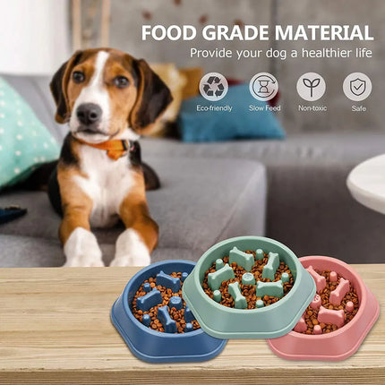 Gamelle pour chien à alimentation lente