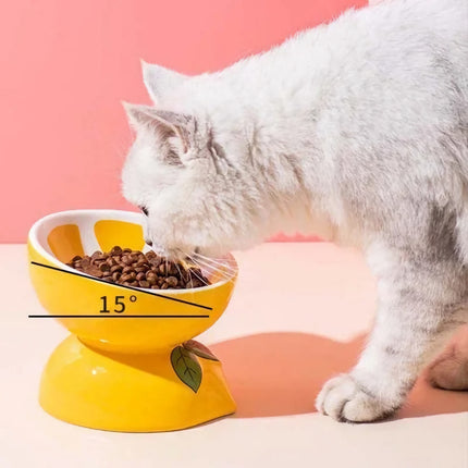 Gamelle en céramique en forme de fruit pour animaux de compagnie