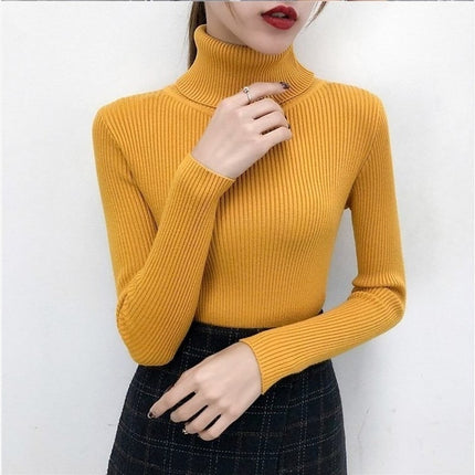 Women's Knitted Winter Turtleneck Sweater - Wnkrs