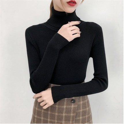 Women's Knitted Winter Turtleneck Sweater - Wnkrs