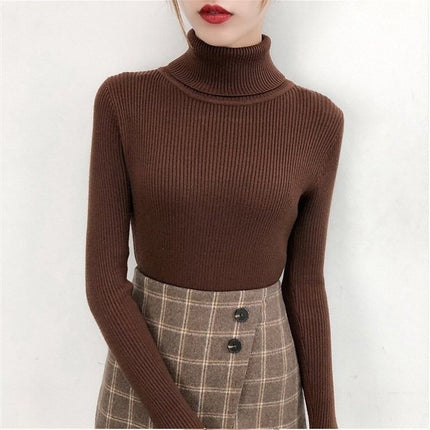 Women's Knitted Winter Turtleneck Sweater - Wnkrs