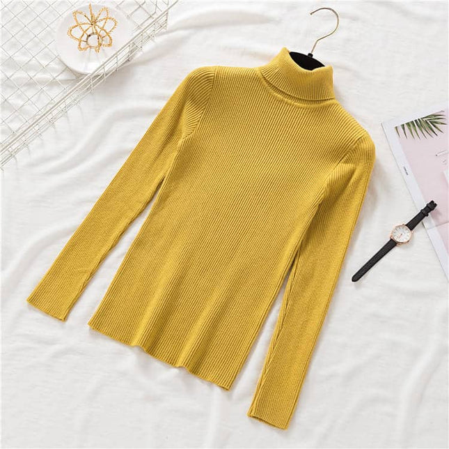 Women's Knitted Winter Turtleneck Sweater - Wnkrs