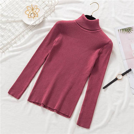 Women's Knitted Winter Turtleneck Sweater - Wnkrs