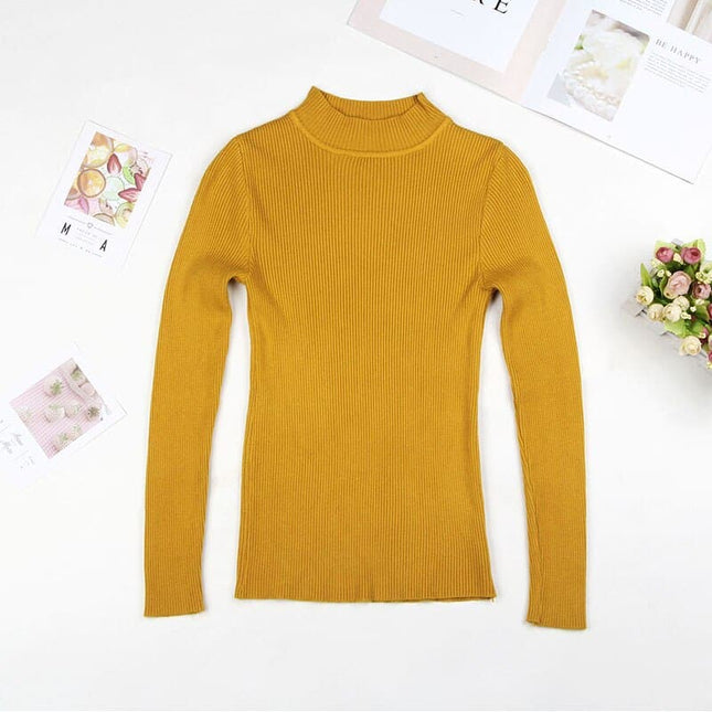 Solid Turtleneck Knitted Sweater for Women