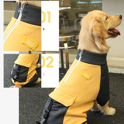 Veste sportive pour gros chien