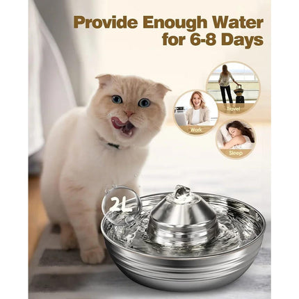 Fontaine à eau en acier inoxydable pour chat et chien de 2 L avec pompe silencieuse pour plusieurs animaux de compagnie