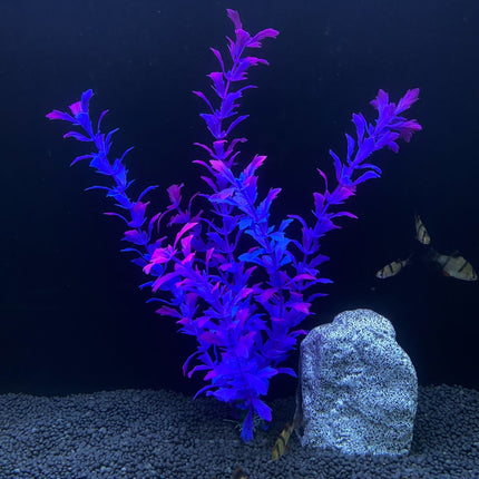 Plante artificielle pour aquarium de 30 cm de haut