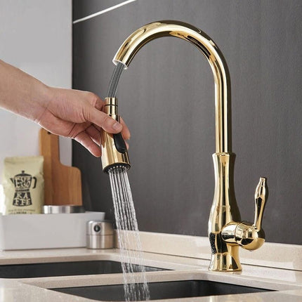 Gold Pull Out Kitchen Faucet - Wnkrs