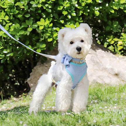 Conjunto de arnés y correa de malla ajustable para perros con lindo lazo