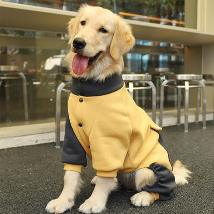 Veste sportive pour gros chien