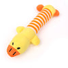 Pato amarillo
