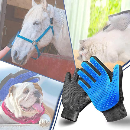 Gant pour enlever les poils d'animaux pour chiens et chats