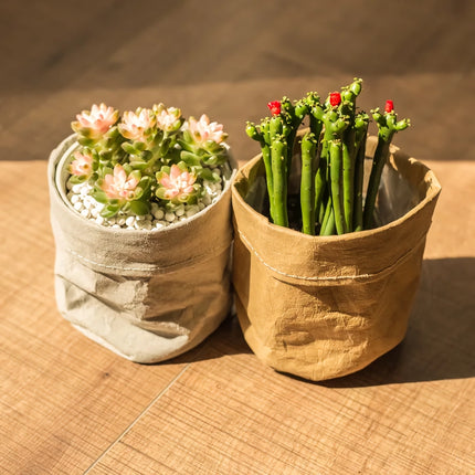 Pot de fleurs en papier kraft lavable