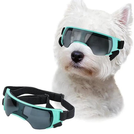 Lunettes de soleil pour petits chiens