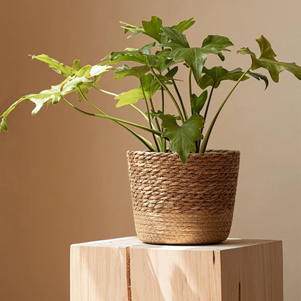 Hand-Woven Straw Wicker Plant and Storage Basket