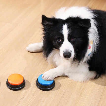 Bouton de communication interactif pour animaux de compagnie - Jouet de dressage vocal enregistrable pour chiens