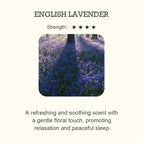 LAVANDA INGLESA / 100 ml