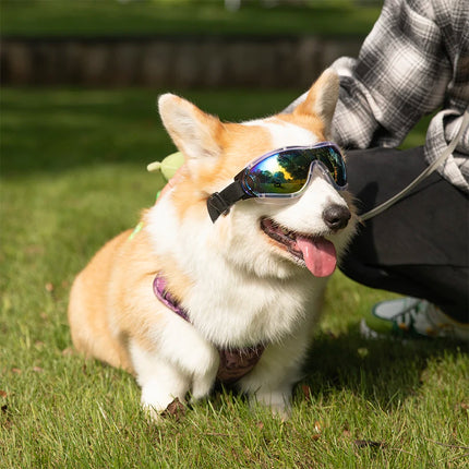 Dog Sunglasses Windproof and UV Resistant Adjustable Goggles for Medium to Large Dogs