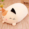 Beige Cat