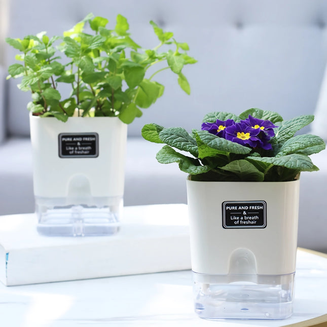 Pot de fleurs réutilisable avec système d'arrosage automatique