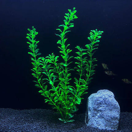 Plante artificielle pour aquarium de 30 cm de haut