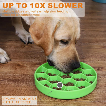 Gamelle pour chien à alimentation lente avec base en silicone antidérapante et ventouse