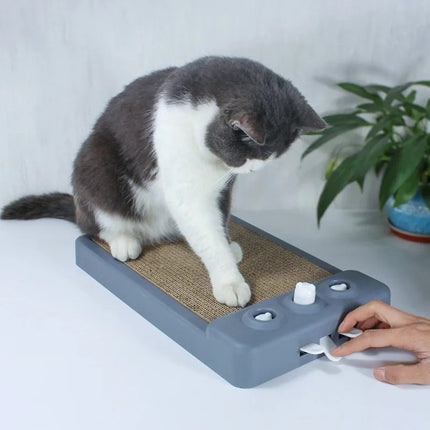 Planche à gratter durable pour chat