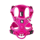 L / Fucsia