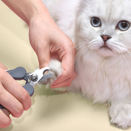 Coupe-ongles et ciseaux de toilettage en acier inoxydable pour chats et chiens