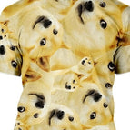 1 / XL